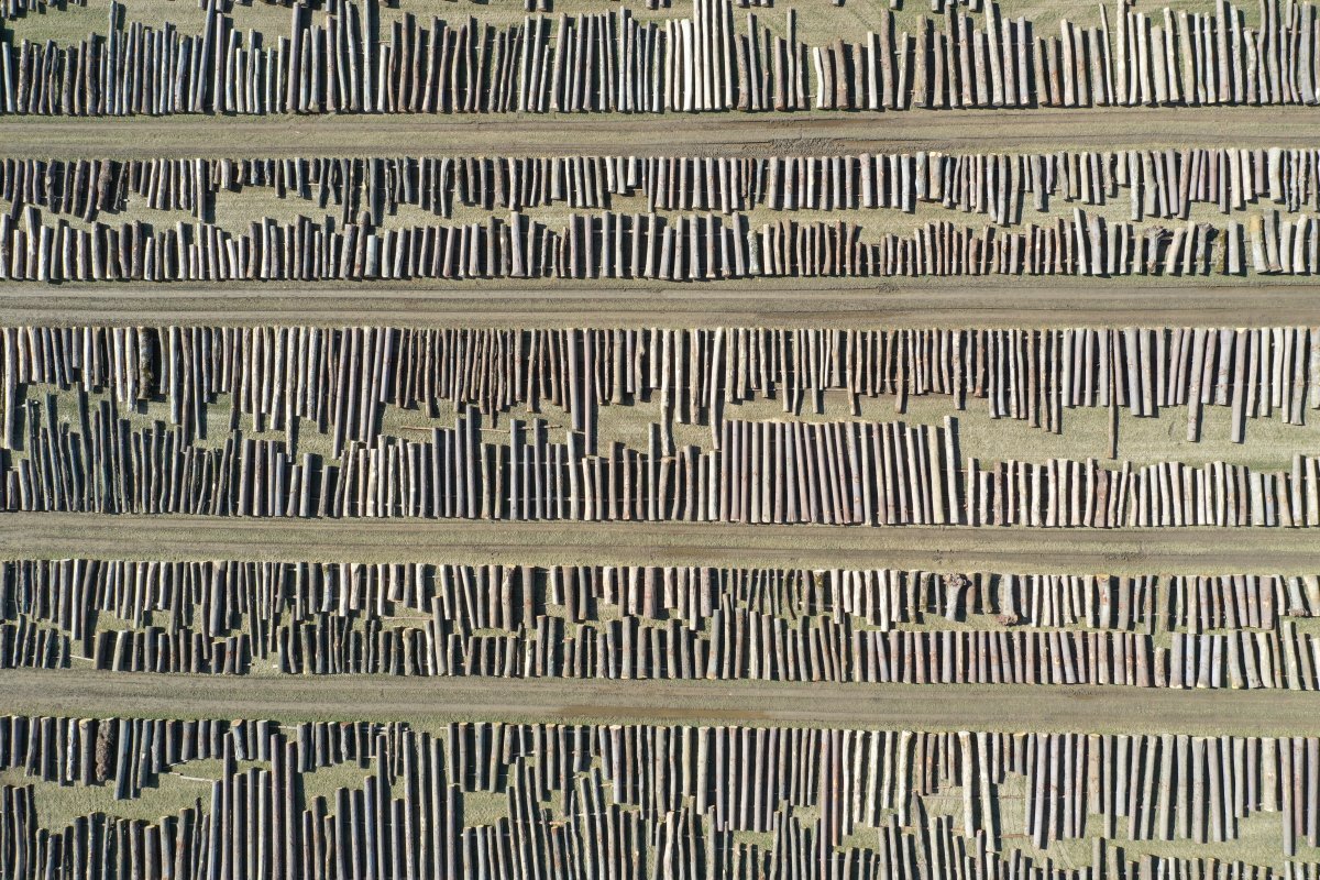 Slika trznicaOglas.jpg